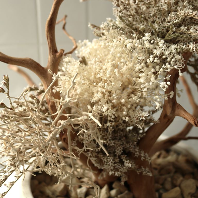 TSUBOMIPlantArts`文月July`