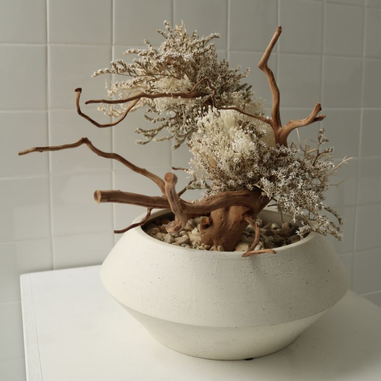 TSUBOMIPlantArts`文月July`