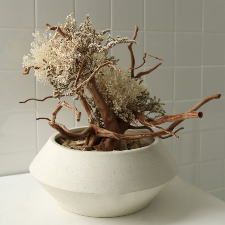 TSUBOMIPlantArts`文月July`