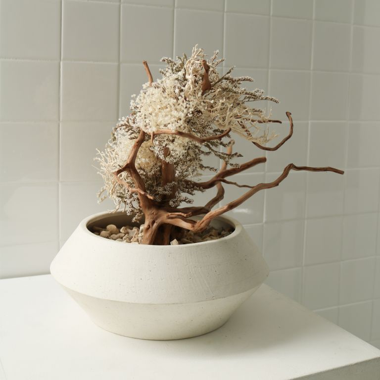 TSUBOMIPlantArts`文月July`