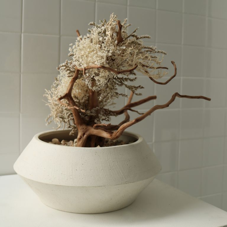 TSUBOMIPlantArts`文月July`