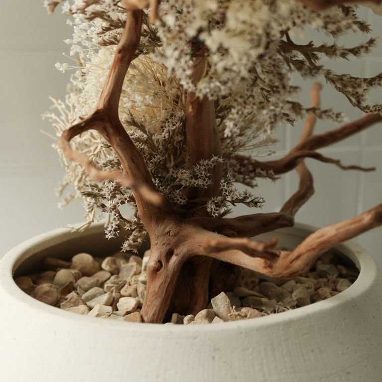 TSUBOMIPlantArts`文月July`