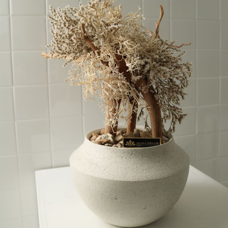 TSUBOMIPlantArts`睦月January`