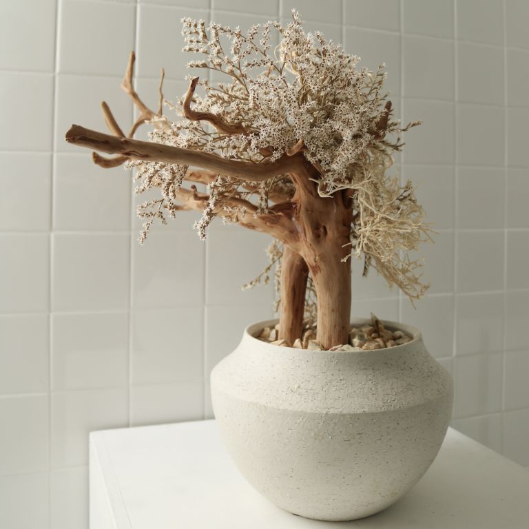 TSUBOMIPlantArts`睦月January`