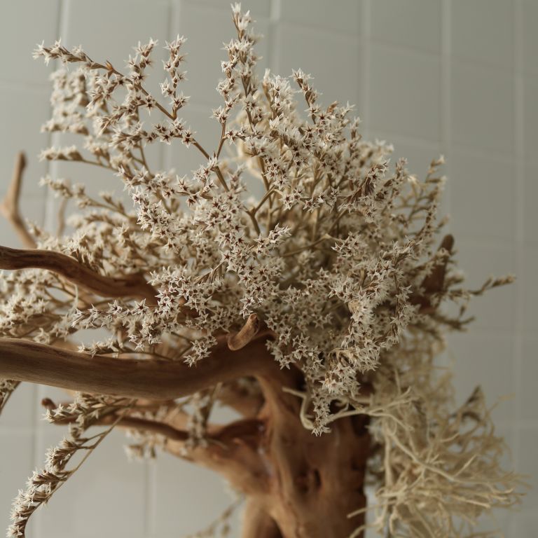 TSUBOMIPlantArts`睦月January`