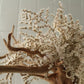 TSUBOMIPlantArts`睦月January`
