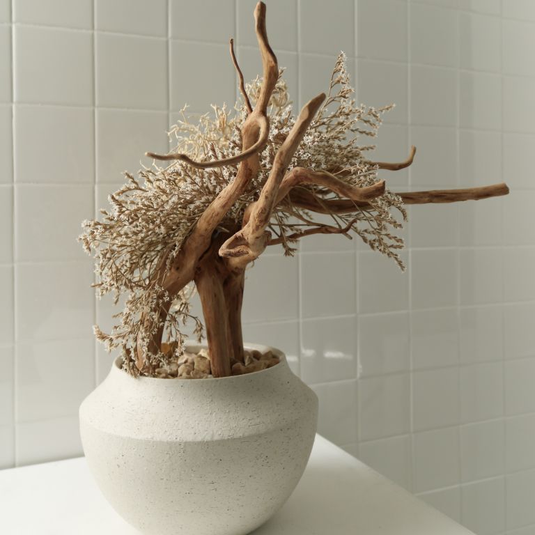 TSUBOMIPlantArts`睦月January`