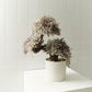 TSUBOMIPlantArts`卯月April`