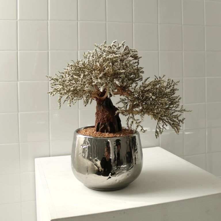 ギフト | 植物・造花の店舗ディスプレイ | 空間デザイン・装飾のIROHA