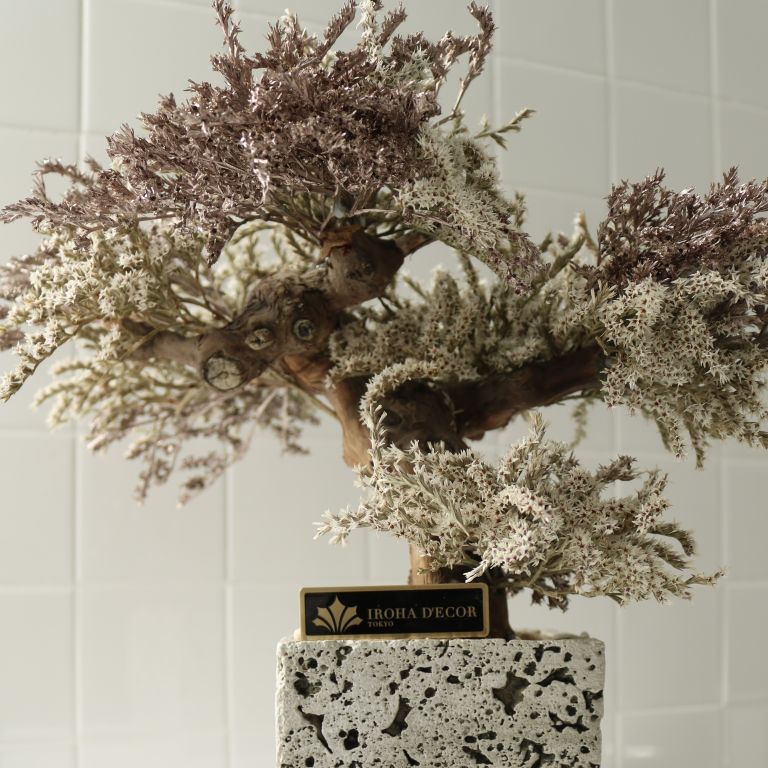 TSUBOMIPlantArts`神無月October`