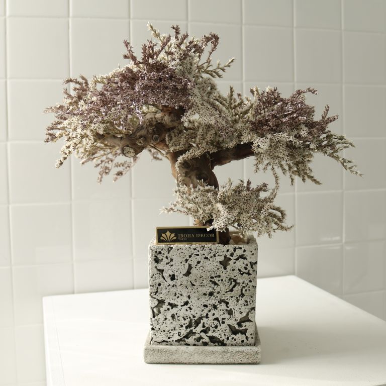 TSUBOMIPlantArts`神無月October`