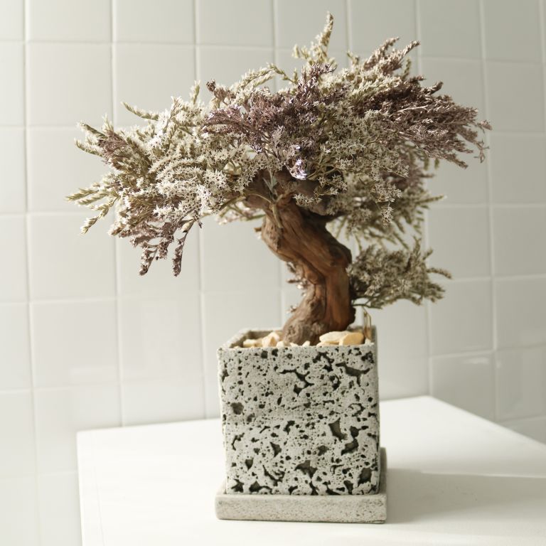 TSUBOMIPlantArts`神無月October`