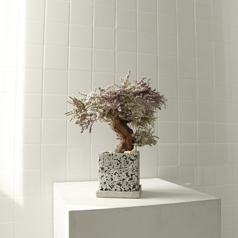 TSUBOMIPlantArts`神無月October`