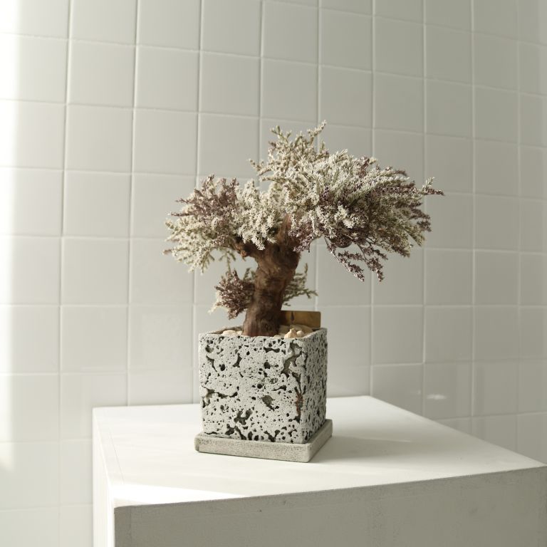 TSUBOMIPlantArts`神無月October`