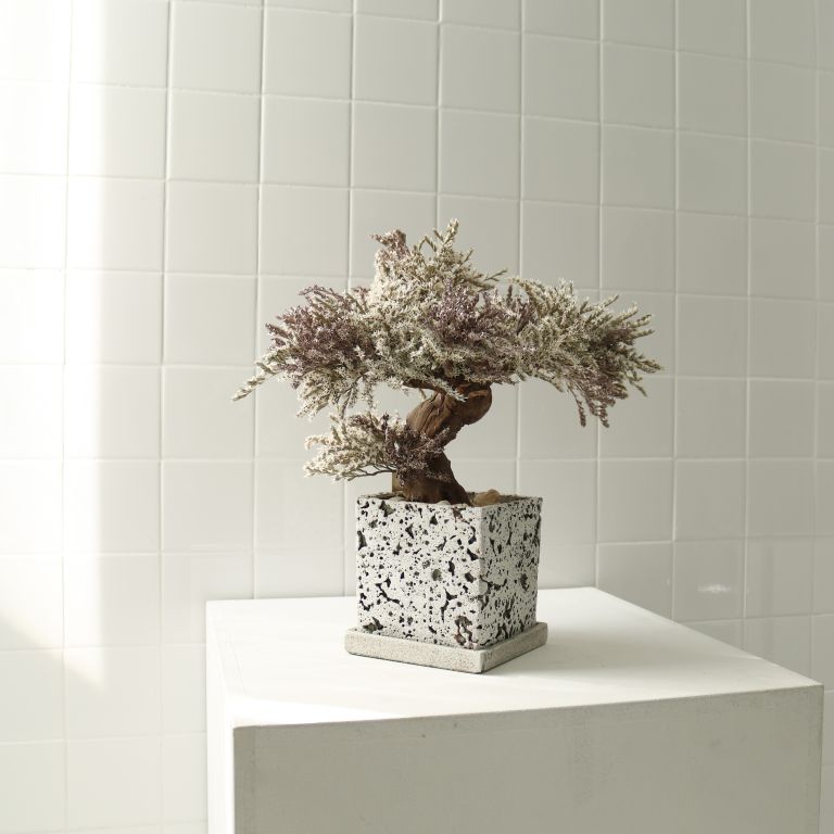 TSUBOMIPlantArts`神無月October`