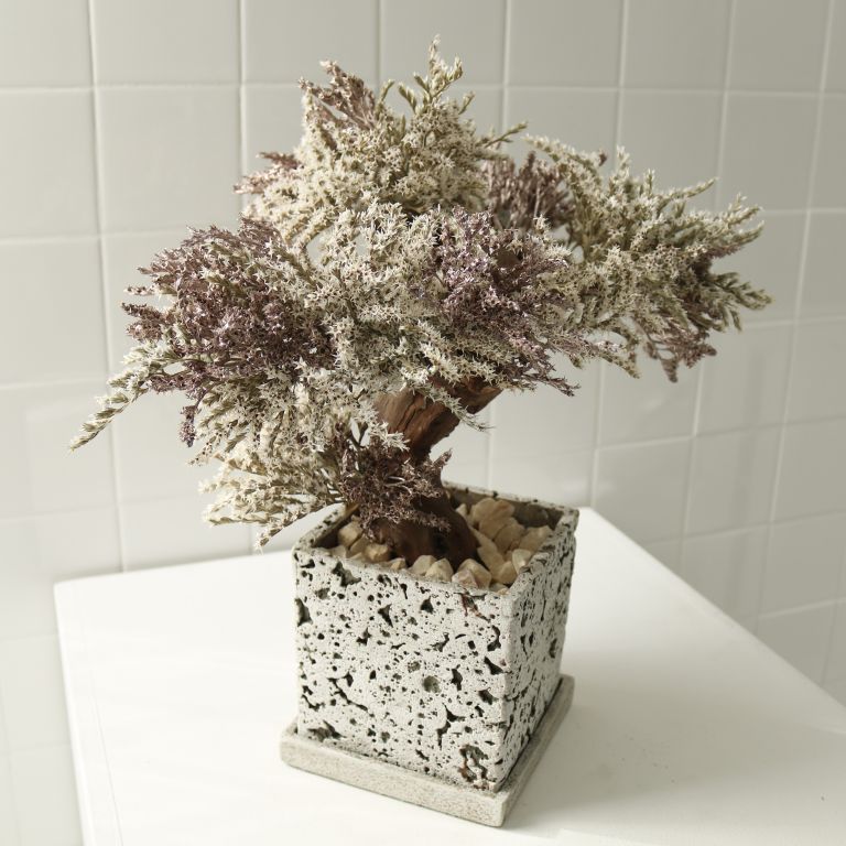 TSUBOMIPlantArts`神無月October`