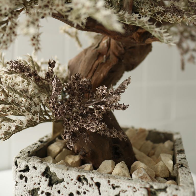 TSUBOMIPlantArts`神無月October`