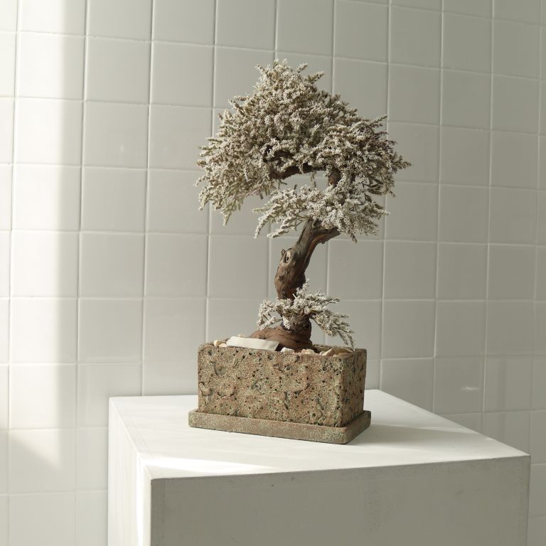 TSUBOMIPlantArts`霜月November`