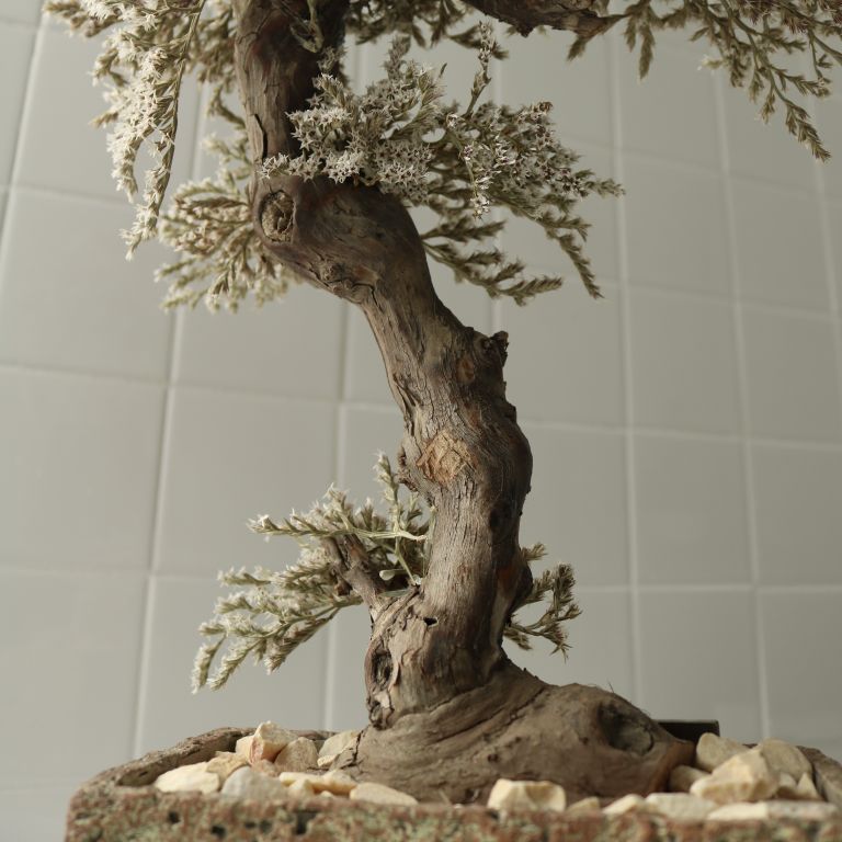 TSUBOMIPlantArts`霜月November`