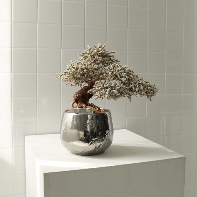 TSUBOMIPlantArts`長月September`