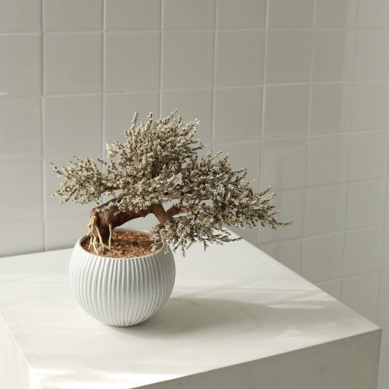 TSUBOMIPlantArts`如月February`