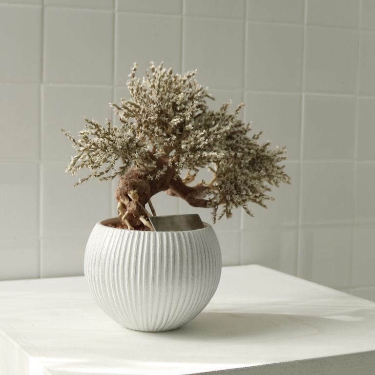 TSUBOMIPlantArts`如月February`