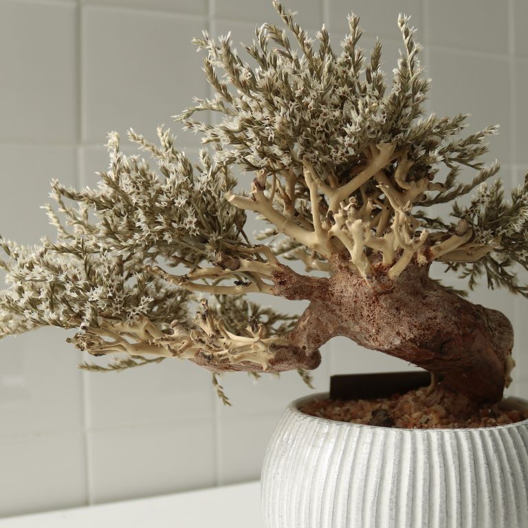 TSUBOMIPlantArts`如月February` | 植物・造花の店舗ディスプレイ