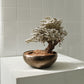 アート盆栽