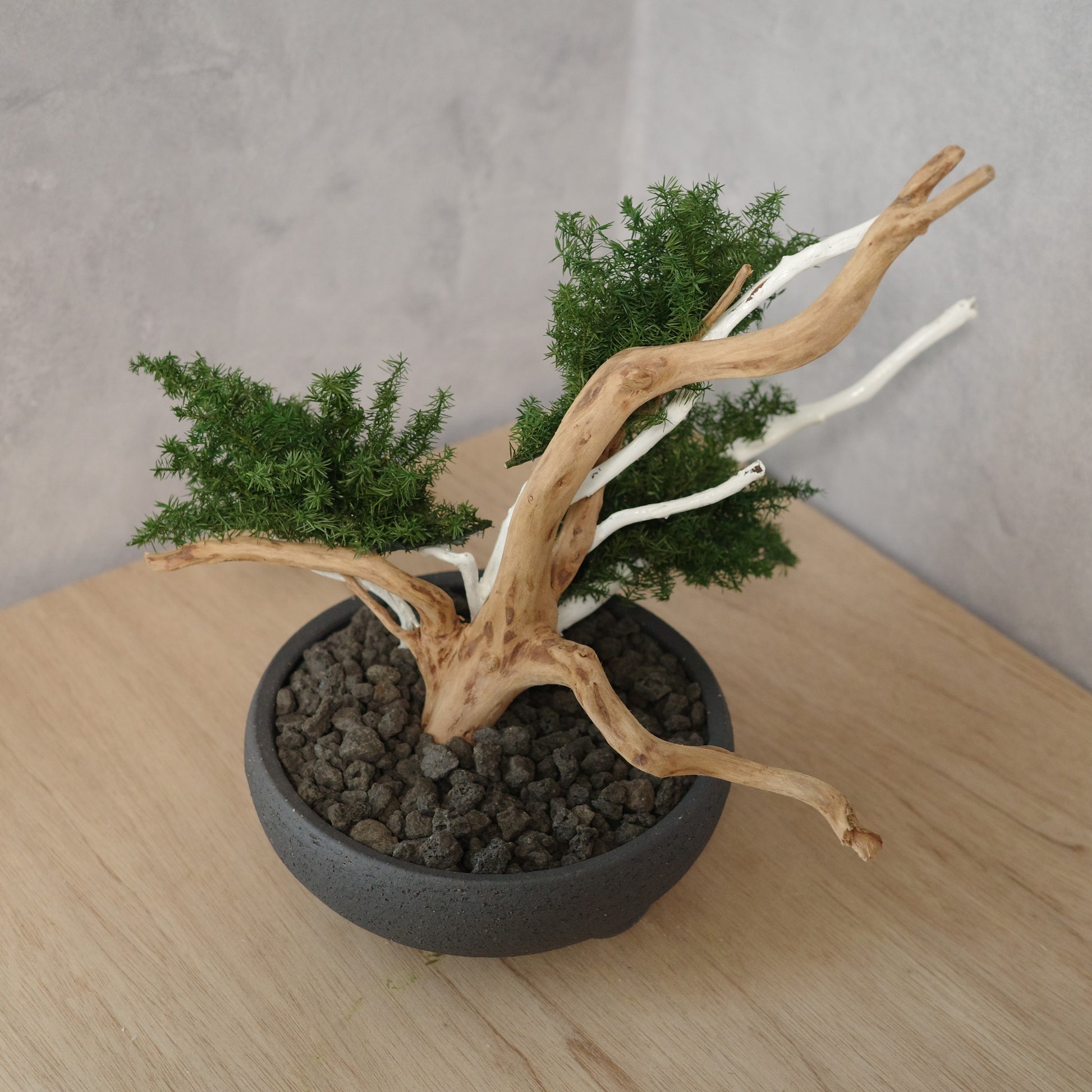 アート盆栽