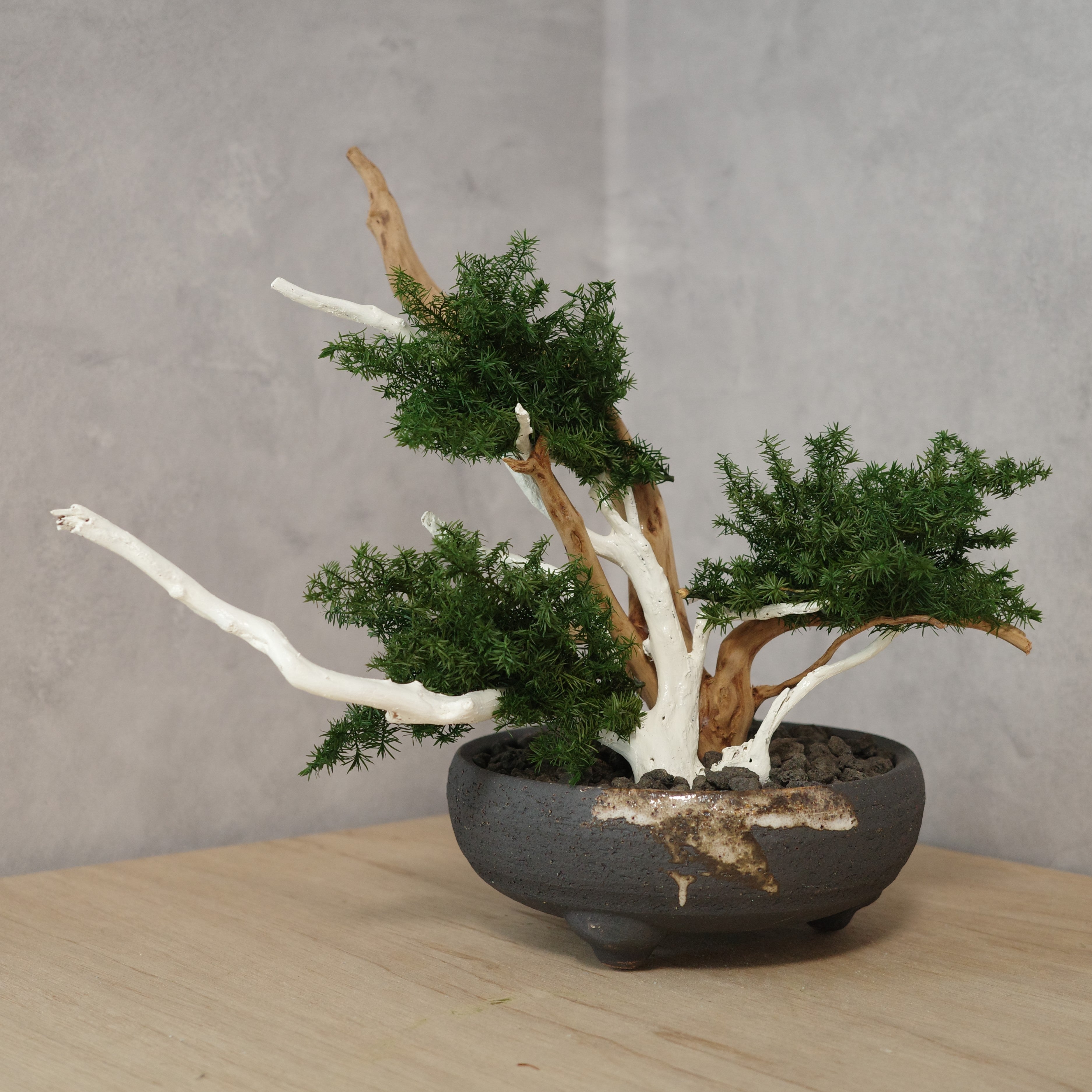 アート盆栽