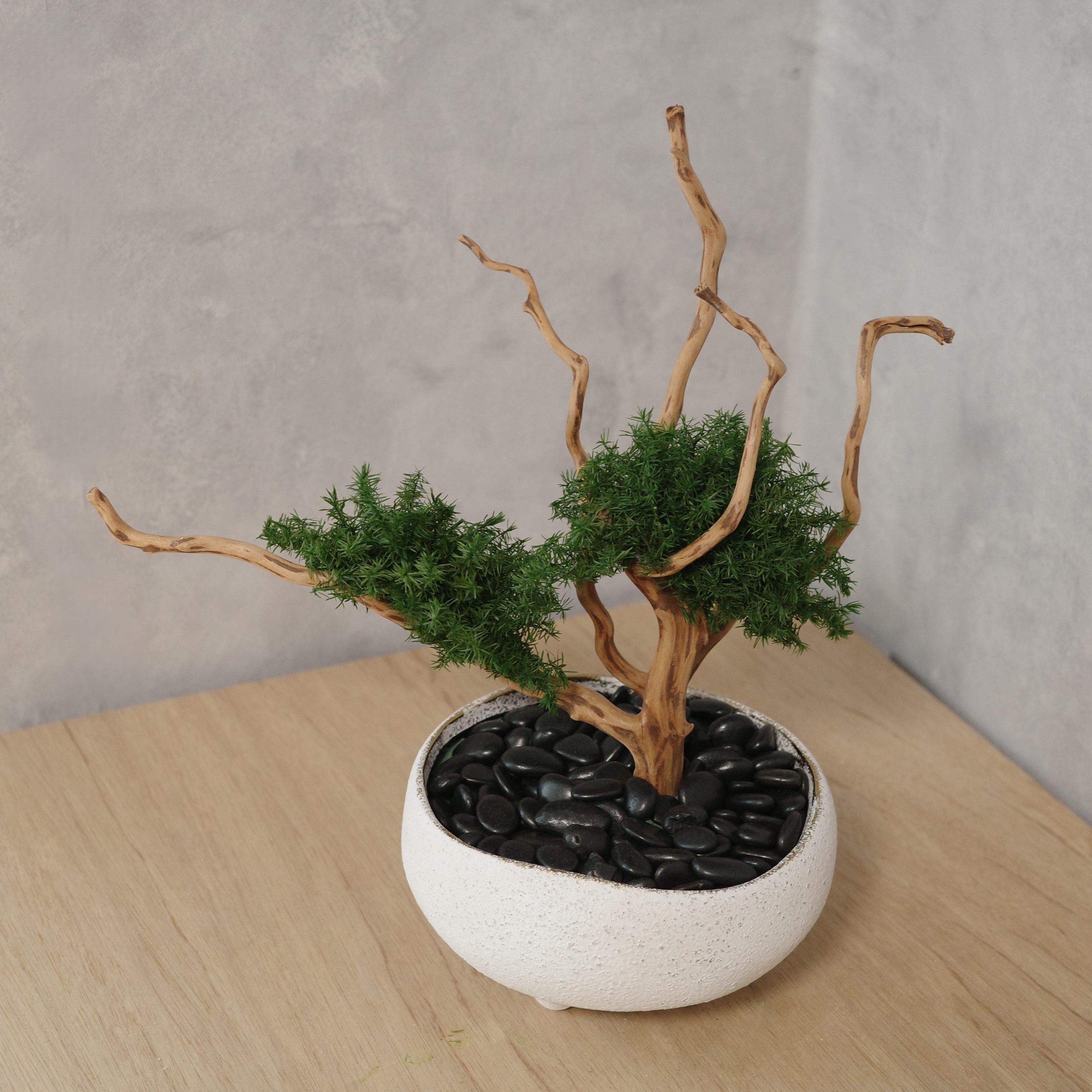 アート盆栽