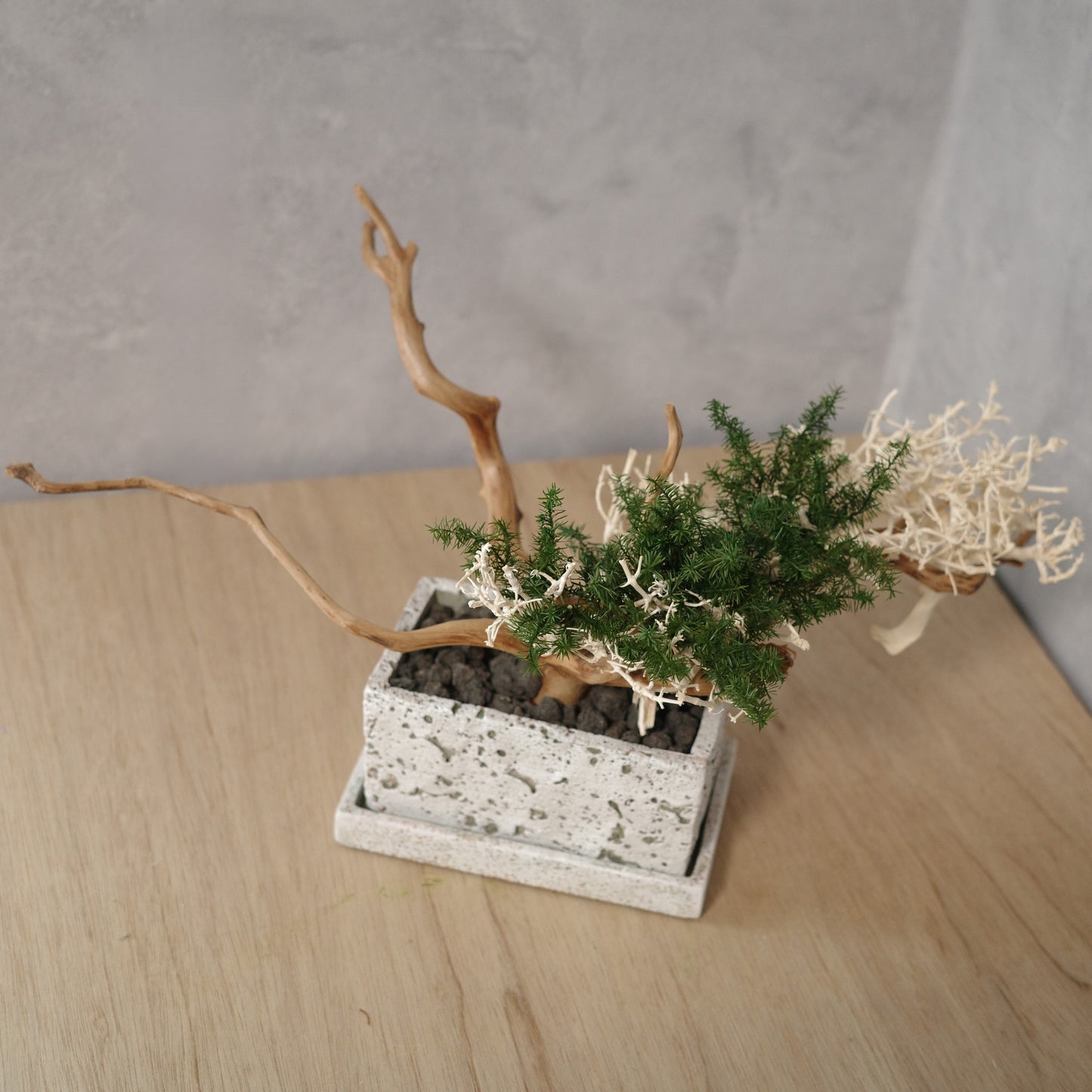 アート盆栽