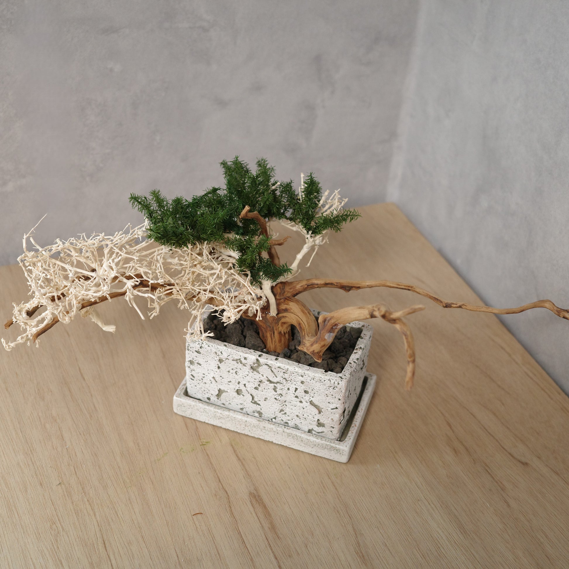 アート盆栽