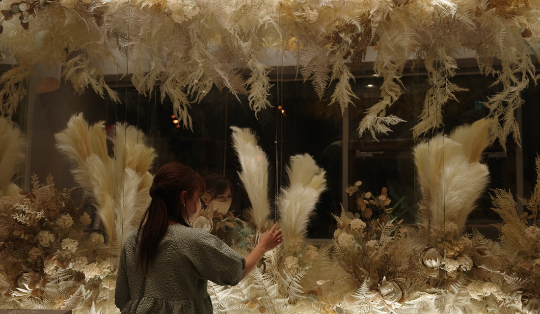 植物ディスプレイ