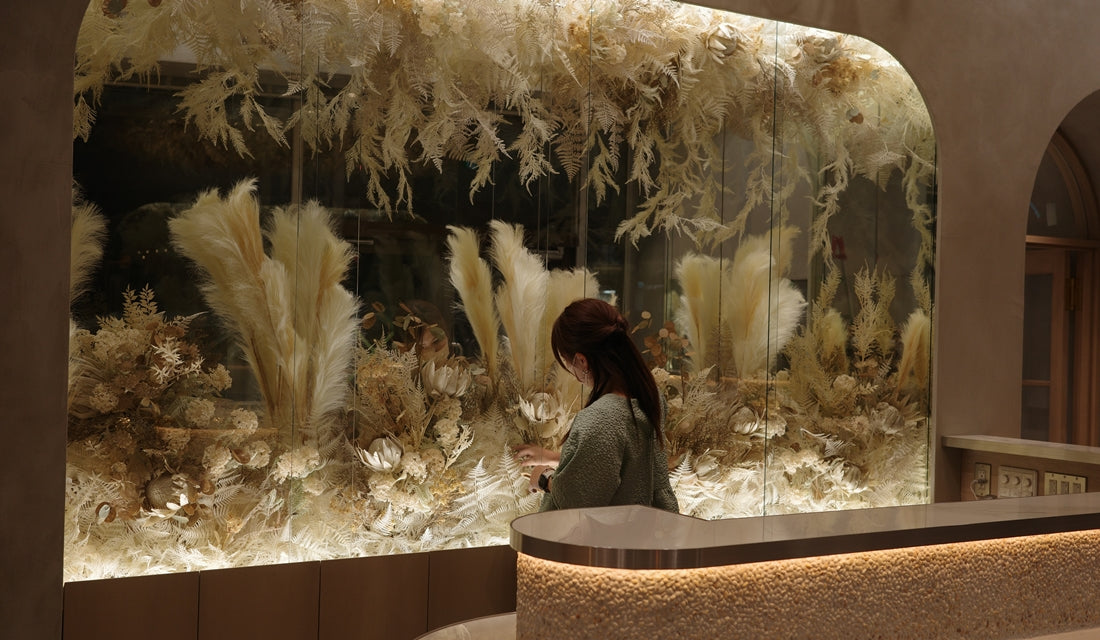 植物ディスプレイ
