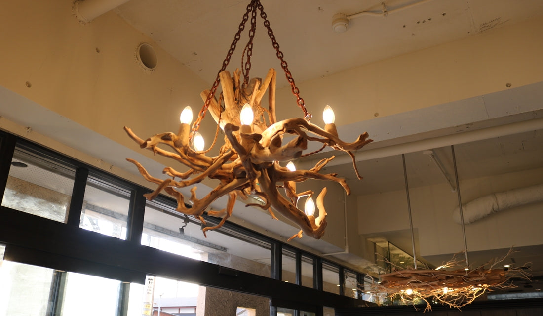Monan 海老名店_シャンデリア | 植物・造花の店舗ディスプレイ | 空間