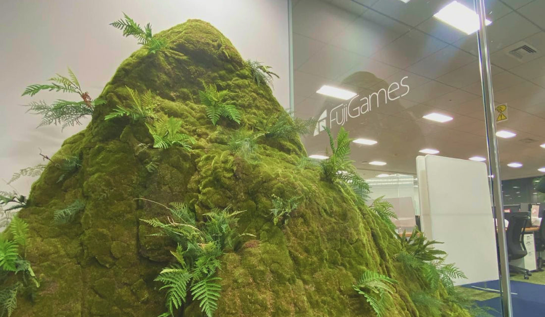 苔山